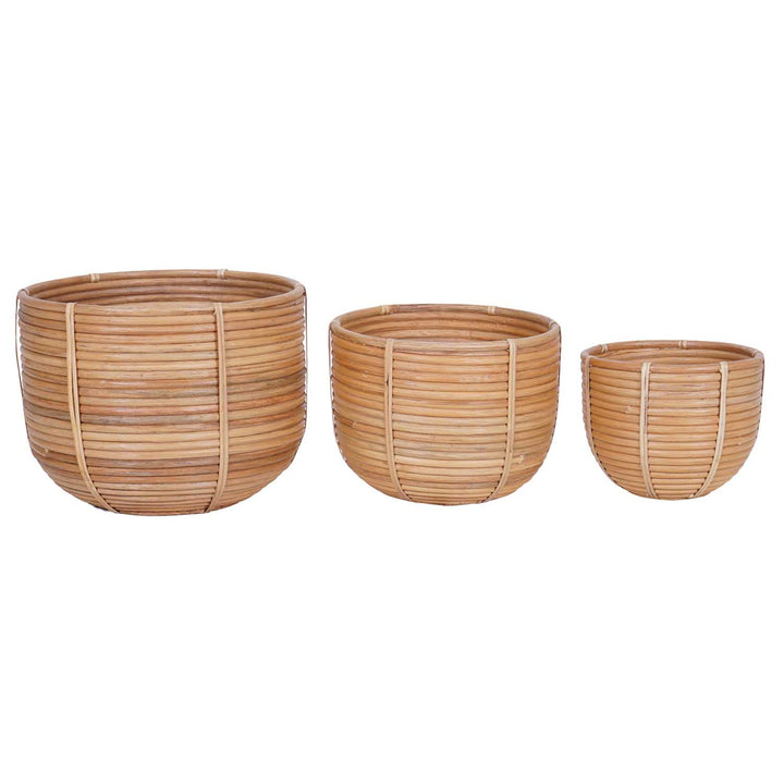Cesto di fiori in rattan Cinta set da 3