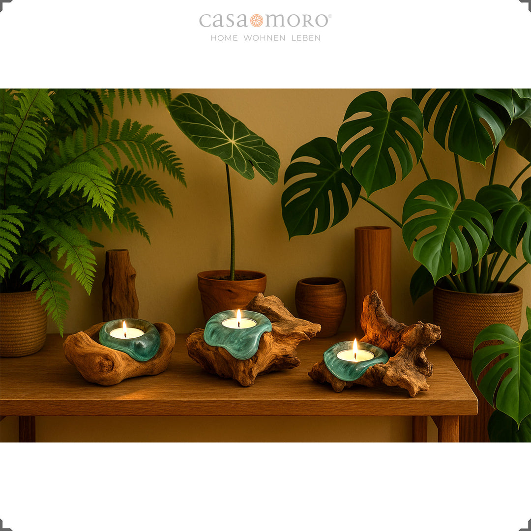 Drei Teelichthalter aus Glas und Wurzelholz auf einem Holzregal, ihr sanftes Licht harmoniert mit den üppigen Grünpflanzen im Raum.